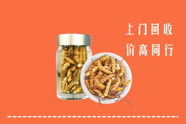三亚市海棠回收冬虫夏草
